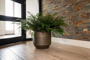 Ter Steege Obal Norell chestnut D32 H30