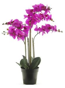 Umělá orchidej Bora, v květináči, 5 výhonů, fialová, výška 60 cm