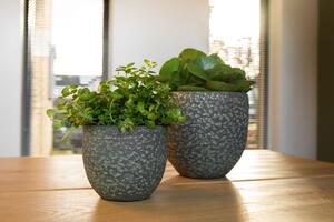 Ter Steege Obal Rinca shiny green D15 H13