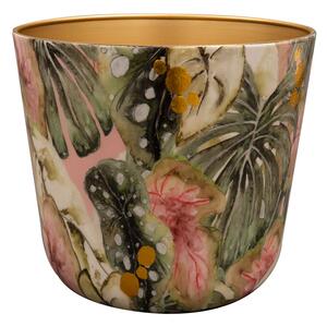 Ter Steege Obal Monstera mystery D21 H18