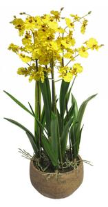 Umělá orchidej Malibu, v květináči, žlutá, výška 70 cm