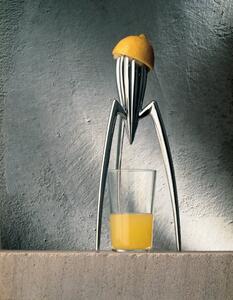 Odšťavňovač citronů "Juicy Salif" - Alessi