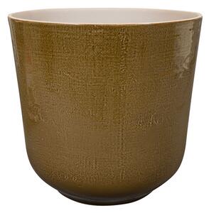 Ter Steege Obal Nouri savannah D14 H13