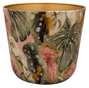 Ter Steege Obal Monstera mystery D26 H23