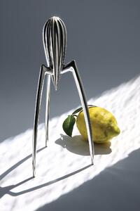 Odšťavňovač citronů "Juicy Salif" - Alessi