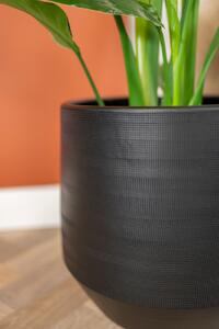 Ter Steege Obal Norell black D32 H30