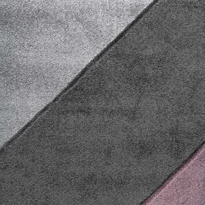 Ayyildiz Hali Kusový koberec Warner 4205A fialový BARVA: Fialová, ROZMĚR: 120x170 cm