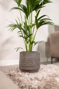 Ter Steege Obal Norell latte brown D25 H24