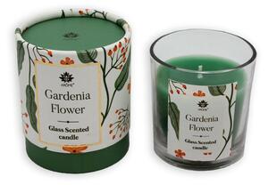 Arome Vonná svíčka ve skle Gardenia Flower, 120 g