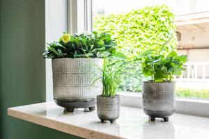Ter Steege Obal Denise off white D10 H12