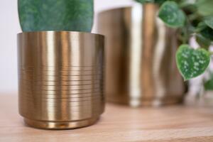 Ter Steege Sada 5 obalů Marley gold D21 H18