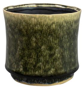 Ter Steege Obal Nolan pine D14 H12