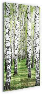 Skleněné hodiny vertikální Bříza zsppb-30x60-00084614