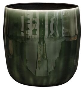 Ter Steege Obal Babet pine D14 H12