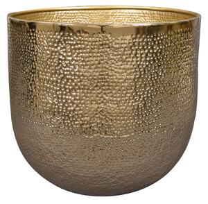Ter Steege Obal Kristy gold D31 H29