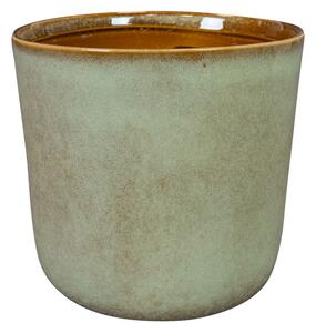 Ter Steege Obal Hedy thyme D11 H12