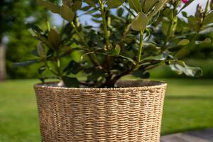 Ter Steege Obal Zora natural D40 H38