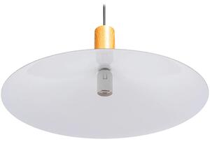 Toolight - Závěsná stropní lampa Plate - černá - APP1084-1CP