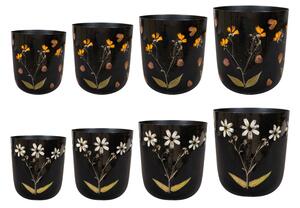 Ter Steege Set 4 Dryflower colour D20 H22, 2 druhy