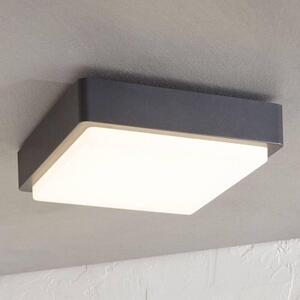 Lindby - Nermin Square LED Venkovní Nástěnné Světlo IP65 Dark Grey/WhiteLindby - Lampemesteren