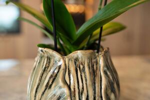 Ter Steege Obal Flora taupe D20 H17
