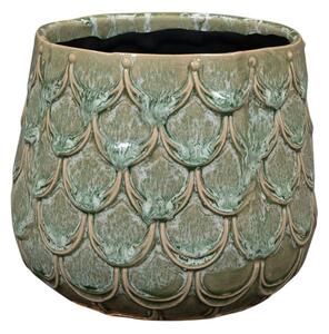 Ter Steege Obal Debby thyme D14 H12