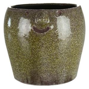 Ter Steege Obal Face forest D14 H12