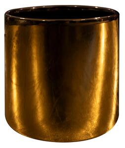 Ter Steege Obal Jille gold D11 H11