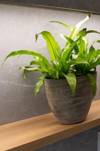 Ter Steege Obal Joyce anthracite D33x16 H25