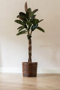 Ter Steege Sada 5 obalů Bob willow brown D41 H33