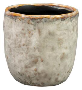 Ter Steege Obal Brian ivory D7 H7
