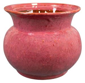 Ter Steege Obal Vivi cherry D30 H25
