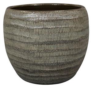 Ter Steege Obal Manuel shiny thyme D20 H17