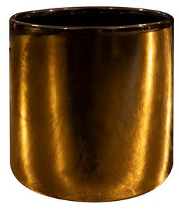 Ter Steege Obal Jille gold D8 H8