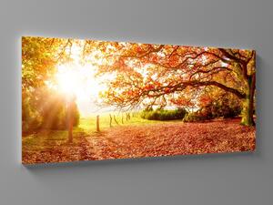 Liox XXL Obraz podzimní krajina Rozměr: 200 x 100 cm