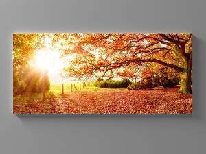 Liox XXL Obraz podzimní krajina Rozměr: 200 x 100 cm