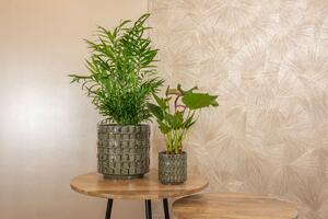 Ter Steege Obal Stian moss green D10 H11