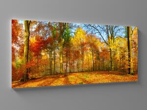Liox XXL Obraz barevný podzim Rozměr: 200 x 100 cm