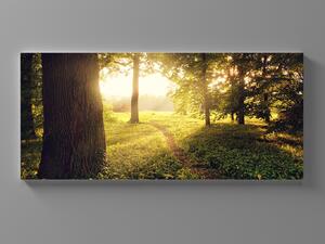 Liox XXL Obraz ranní Úsvit v lese Rozměr: 200 x 100 cm