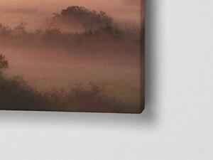 Liox XXL Obraz mlha nad lesem Pripyat Rozměr: 200 x 100 cm
