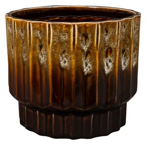 Ter Steege Obal Faye savannah D14 H13