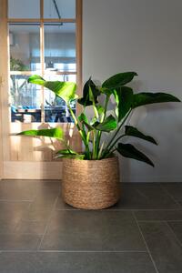 Ter Steege Sada 6 obalů Malou natural D56 H43