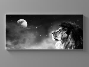 Liox XXL Obraz černobílý lev a měsíc Rozměr: 200 x 100 cm
