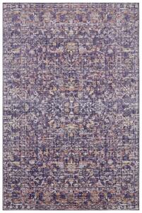 Nouristan - Hanse Home koberce Kusový koberec Cairo 105593 Sues Grey Multicolored ROZMĚR: 240x340