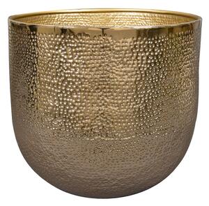 Ter Steege Obal Kristy gold D27 H27