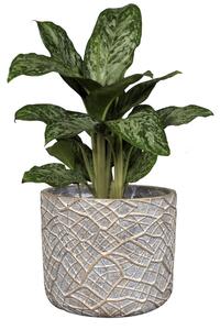 Ter Steege Obal Denzel shinyconcrete D22 H20