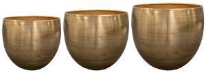 Ter Steege Set 3 Coby gold D30 H29