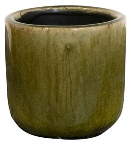 Ter Steege Obal Nine olive green D7 H7