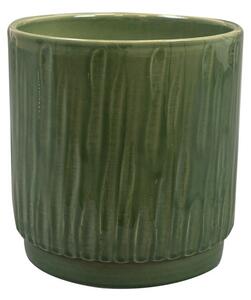 Ter Steege Obal Stella sage D13 H14