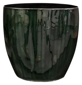 Ter Steege Obal široký Babet pine D27x14 H26